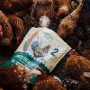 imageHATORTEMPT NonGMO Dried Mealworms 10lbs and 5 lbs 15 lbs Bundle Kit Premium Organic HighProtein Chicken Food Excellent Feed for Chickens Wild Birds Bluebird Quails Ducks Hedgehog Reptiles