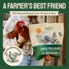 imageHATORTEMPT NonGMO Dried Mealworms 10lbs and 5 lbs 15 lbs Bundle Kit Premium Organic HighProtein Chicken Food Excellent Feed for Chickens Wild Birds Bluebird Quails Ducks Hedgehog Reptiles