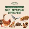 imageHATORTEMPT NonGMO Dried Mealworms 10lbs and 5 lbs 15 lbs Bundle Kit Premium Organic HighProtein Chicken Food Excellent Feed for Chickens Wild Birds Bluebird Quails Ducks Hedgehog Reptiles