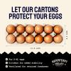 imageHatortempt Bulk Egg Cartons  24Pack Reusable 12Count Basket  Recycled Paper Pulp Protection ampamp Ventilation  Fits Small to XL Sizes  Cardboard Dozen Egg Carton Basket48Pack