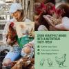 imageHatortempt Chicken Treat Mix  Dried Mealworms 10lb ampamp Black Soldier Fly Larvae for Chickens 5lb  100 Natural Organic Protein Rich Chicken Feed for Laying Hens Ducks Wild Birds  15lb