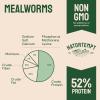 imageHatortempt Chicken Treat Mix  Dried Mealworms 10lb ampamp Black Soldier Fly Larvae for Chickens 5lb  100 Natural Organic Protein Rich Chicken Feed for Laying Hens Ducks Wild Birds  15lb