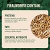 imageHatortempt Dried Mealworms  2 Lb Bag  High Protein Chicken Feed Mealworms for Birds ampamp Chickens  Meal Worms for Wild Birds ampamp Turtles2 Pound Pack of 1