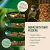 imageHatortempt Dried Mealworms  2 Lb Bag  High Protein Chicken Feed Mealworms for Birds ampamp Chickens  Meal Worms for Wild Birds ampamp Turtles2 Pound Pack of 1