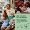 imageHatortempt Dried Mealworms  2 Lb Bag  High Protein Chicken Feed Mealworms for Birds ampamp Chickens  Meal Worms for Wild Birds ampamp Turtles20 Pound Pack of 1