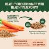 imageHatortempt Dried Mealworms  2 Lb Bag  High Protein Chicken Feed Mealworms for Birds ampamp Chickens  Meal Worms for Wild Birds ampamp Turtles20 Pound Pack of 1
