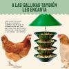 imageHatortempt Hanging Bird Feeder  for Chickadees Goldfinches Cardinals Finches ampamp Sparrows  Durable Metal Squirrel Proof Bird Feeders for Outdoors Hanging  for Seeds Fruit Food ampamp Water