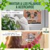 imageHatortempt Window Bird Feeder  Set of 2 Clear Plastic  SquirrelProof Design with Strong Suction Cups  Wild Bird Feeders for Outdoors ampamp Backyard Birding ampamp Wildlife Viewing