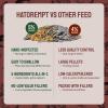 imagePTCOM Hatortempt 5lb Organic Chicken Feed for Laying Hens  3 Grain Essential Blend  5 Calcium with Oyster Shell for Chickens  Grit for Digestion  Chicken Food  Healthier Hens for Healthier Eggs