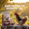 imagePTCOM Hatortempt 5lb Organic Chicken Feed for Laying Hens  3 Grain Essential Blend  5 Calcium with Oyster Shell for Chickens  Grit for Digestion  Chicken Food  Healthier Hens for Healthier Eggs