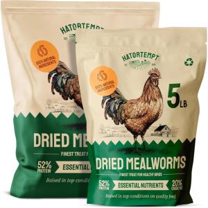 imageHATORTEMPT NonGMO Dried Mealworms 10lbs and 5 lbs 15 lbs Bundle Kit Premium Organic HighProtein Chicken Food Excellent Feed for Chickens Wild Birds Bluebird Quails Ducks Hedgehog Reptiles