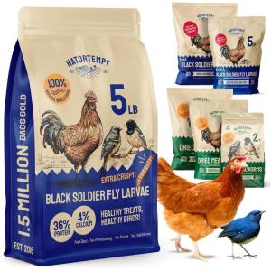 imageHatortempt Black Soldier Fly Larvae for Chickens  5 lb Pack of 1  Protein Boost ampamp High Protein Chicken Feed  4 Calcium Treats ampamp Reptile Calcium  NonGMO Organic Grubs ampamp Bird Feed5 Pound Pack of 1