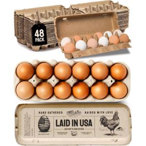 imageHatortempt Bulk Egg Cartons  24Pack Reusable 12Count Basket  Recycled Paper Pulp Protection ampamp Ventilation  Fits Small to XL Sizes  Cardboard Dozen Egg Carton Basket48Pack