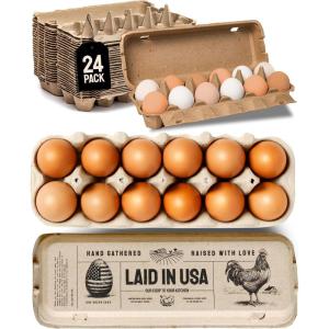 imageHatortempt Bulk Egg Cartons  24Pack Reusable 12Count Basket  Recycled Paper Pulp Protection ampamp Ventilation  Fits Small to XL Sizes  Cardboard Dozen Egg Carton Basket24Pack