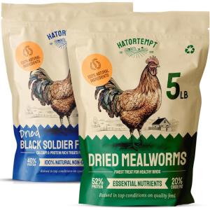 imageHatortempt Chicken Treat Mix  Dried Mealworms 5lb ampamp Black Soldier Fly Larvae for Chickens 5lb  100 Natural Organic Protein Rich Chicken Feed for Laying Hens Ducks Wild Birds  10lb
