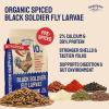 imageHatortempt Spiced Black Soldier Fly Larvae for Chickens 10lb  HighCalcium Organic Worm Treats for Laying Hens  Coated with a Chili Mix for Chickens