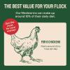 imageHatortempt Spiced Dried Mealworms for Chickens 10lb  HighProtein Organic Chicken Feed Supplement  with Digestive Support Poultry Herbs