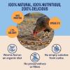 imageHatortempt Surf amp Turf  Dried Mealworms for Chickens Plus Black Soldier Fly Larvae and Krill  10lbs Worms for Chickens  High Protein and Calcium
