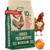 imageHatortempt Spiced Dried Mealworms for Chickens 10lb  HighProtein Organic Chicken Feed Supplement  with Digestive Support Poultry Herbs